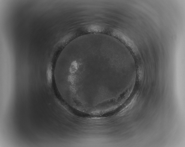 X0000102300637200807251436