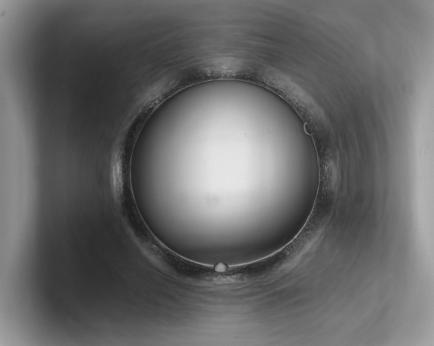 X0000102300638200807251436