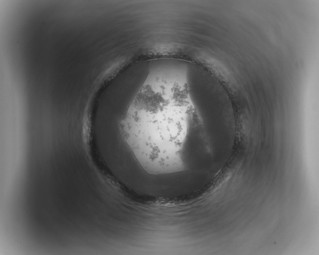 X0000102300640200807251436
