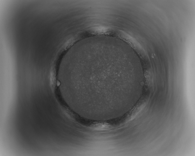 X0000102300642200807251436