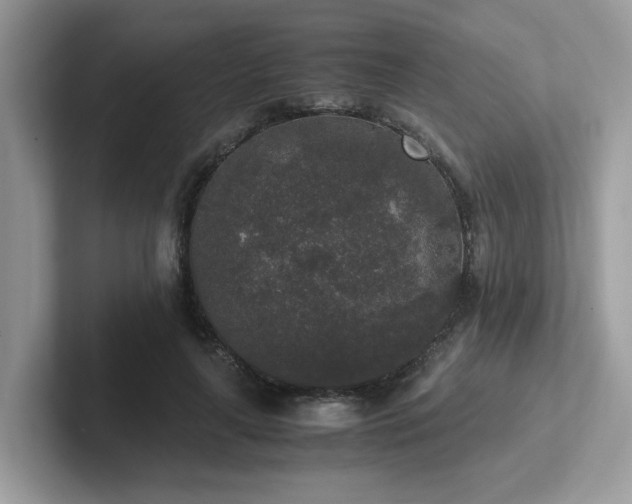 X0000102300643200807251436