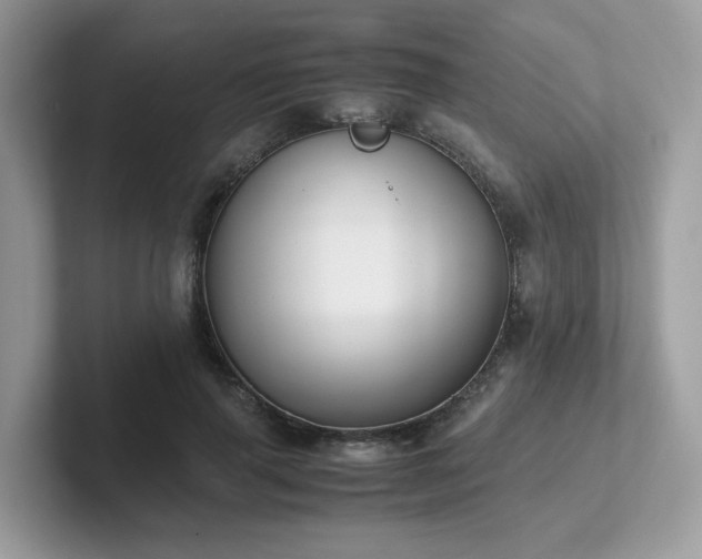 X0000102300645200807251436