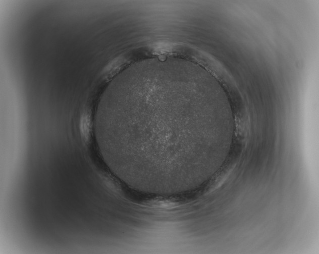 X0000102300648200807251436