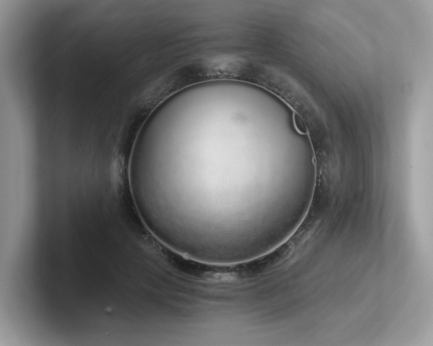 X0000102300649200807251436
