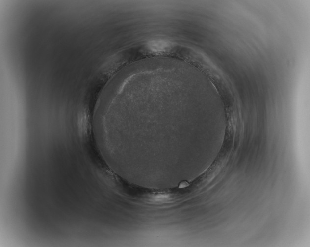 X0000102300651200807251436