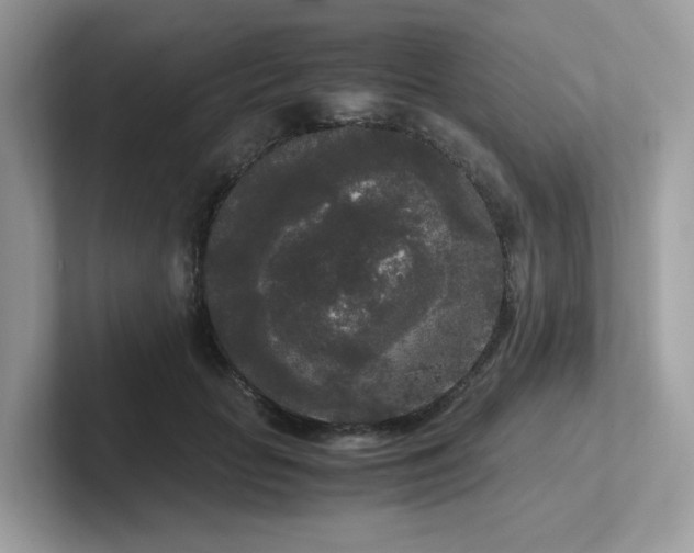 X0000102300653200807251436