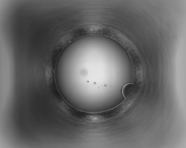 X0000102300654200807251436