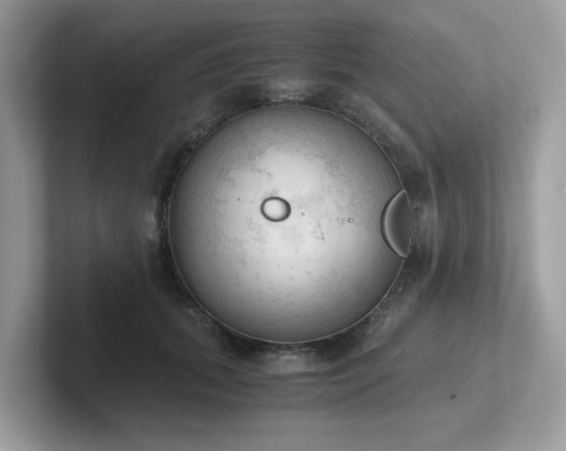 X0000102300655200807251436