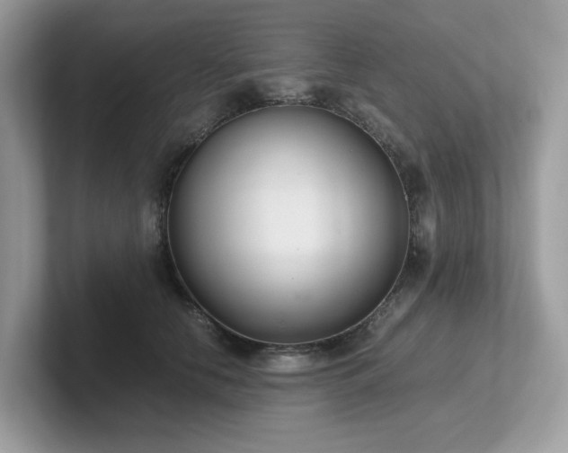 X0000102300658200807251436