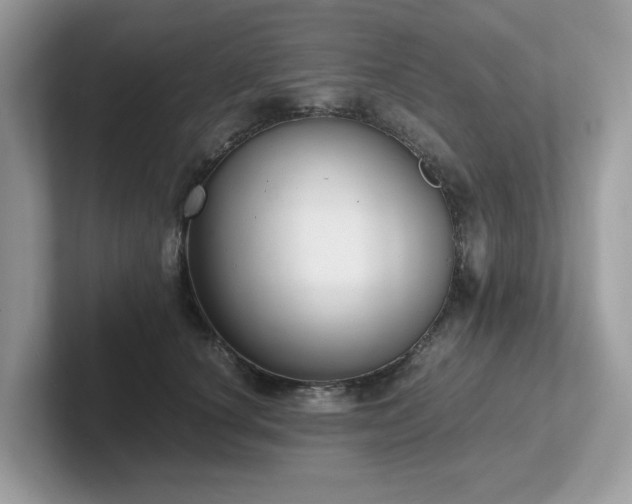 X0000102300660200807251436
