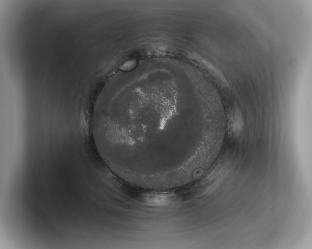 X0000102300661200807251436