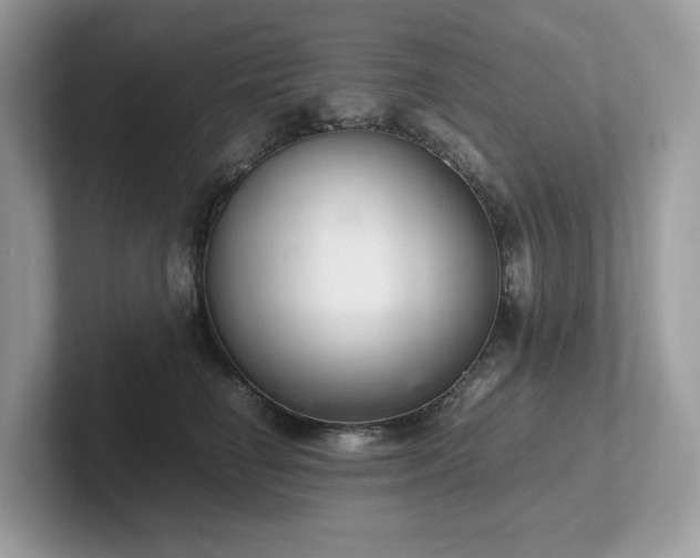 X0000102300662200807251436