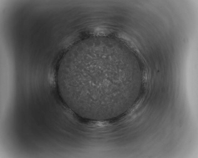 X0000102300663200807251436