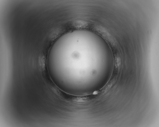 X0000102300664200807251436