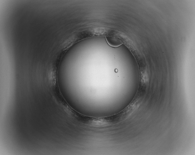 X0000102300666200807251436