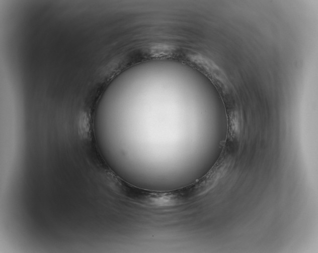 X0000102300667200807251436