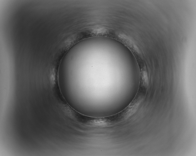 X0000102300668200807251436