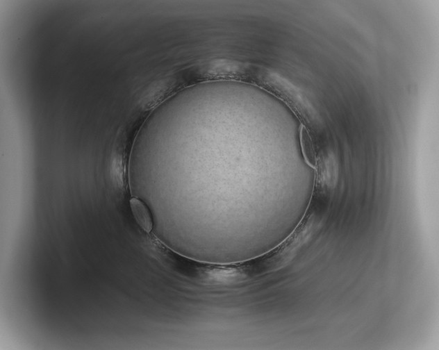 X0000102300669200807251436