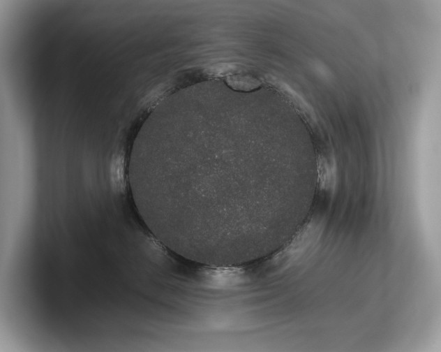 X0000102300670200807251436