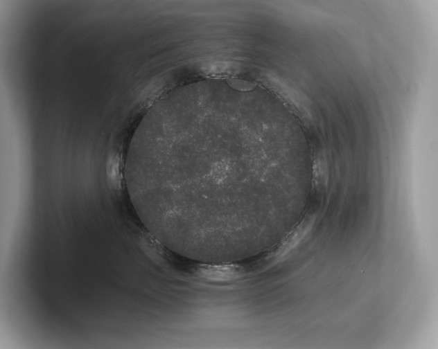 X0000102300671200807251436