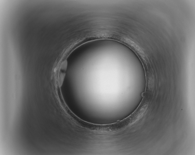 X0000102300673200807251435