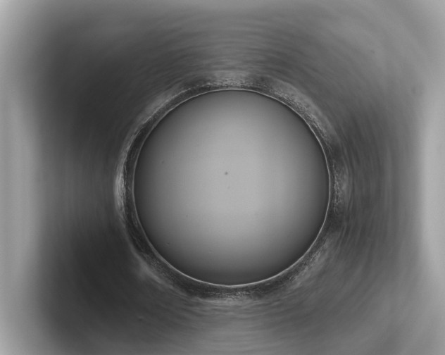 X0000102300674200807251435