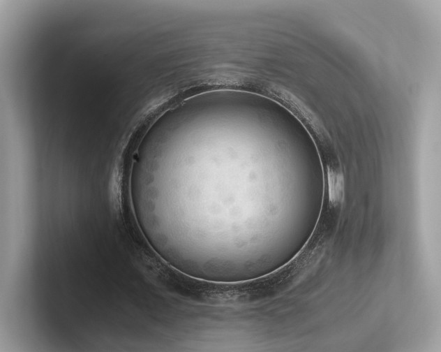 X0000102300675200807251435