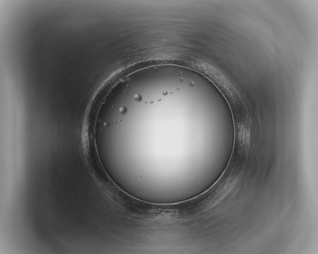 X0000102300676200807251435