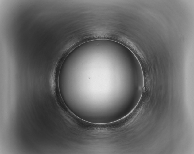 X0000102300677200807251435