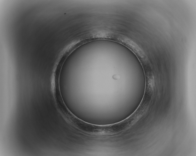 X0000102300678200807251435