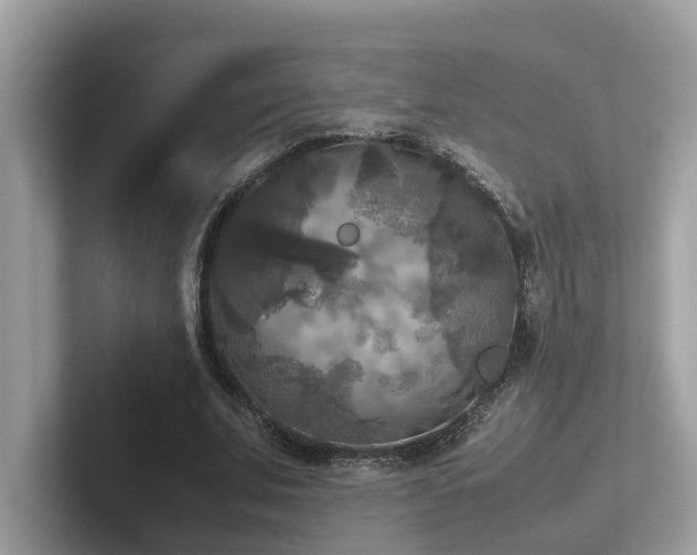 X0000102300679200807251435