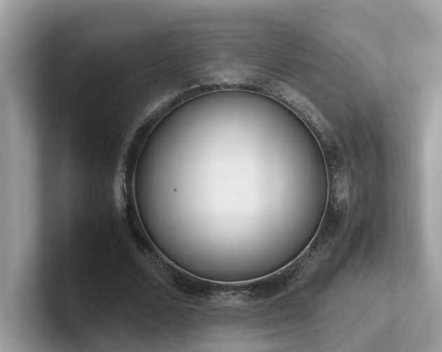 X0000102300680200807251435