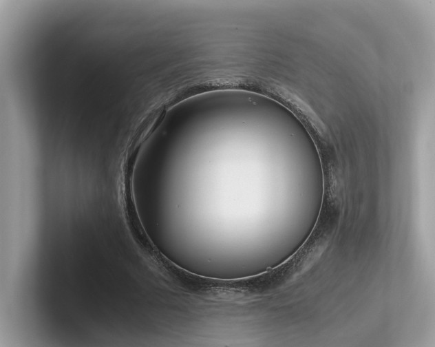 X0000102300681200807251435