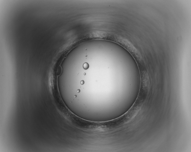 X0000102300683200807251435