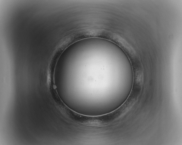 X0000102300685200807251435
