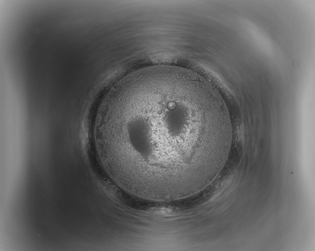X0000102300687200807251435