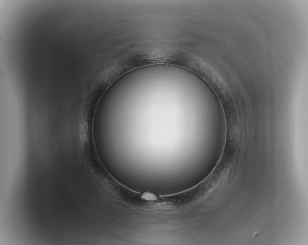 X0000102300689200807251435