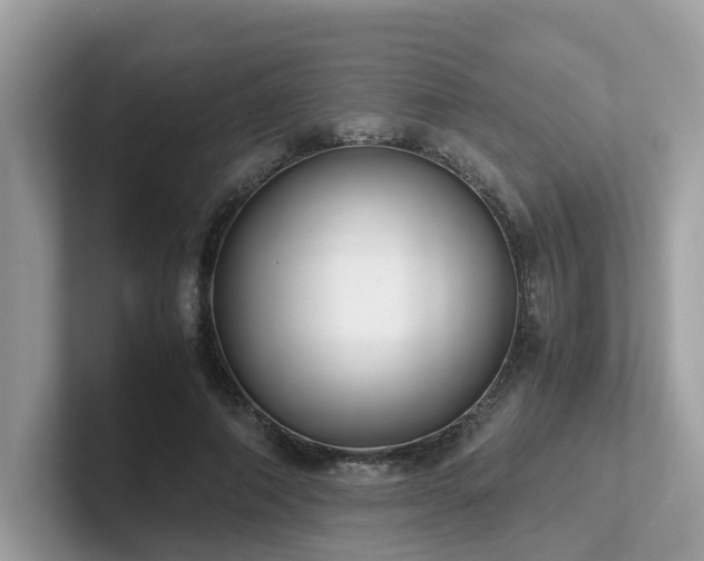 X0000102300690200807251435