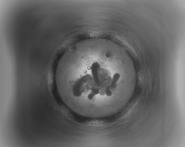 X0000102300691200807251435