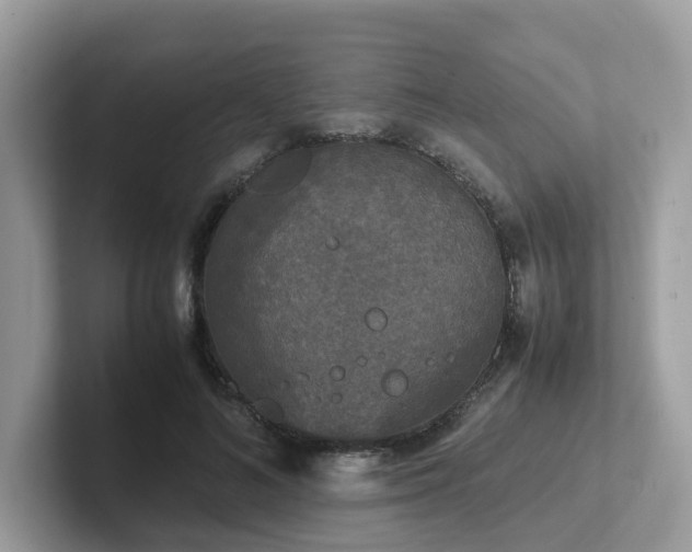 X0000102300692200807251435
