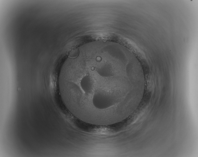 X0000102300695200807251435