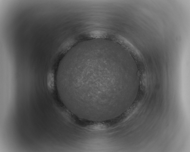 X0000102300696200807251435