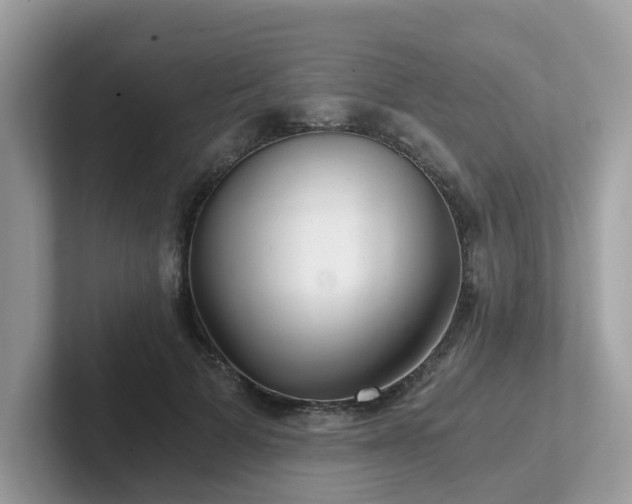 X0000102300697200807251435