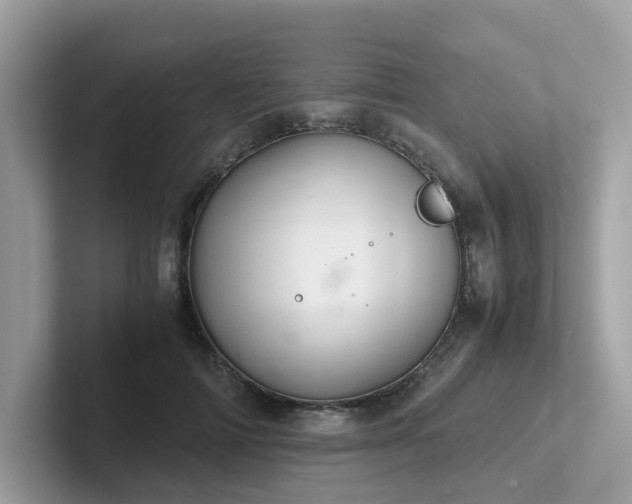 X0000102300698200807251435