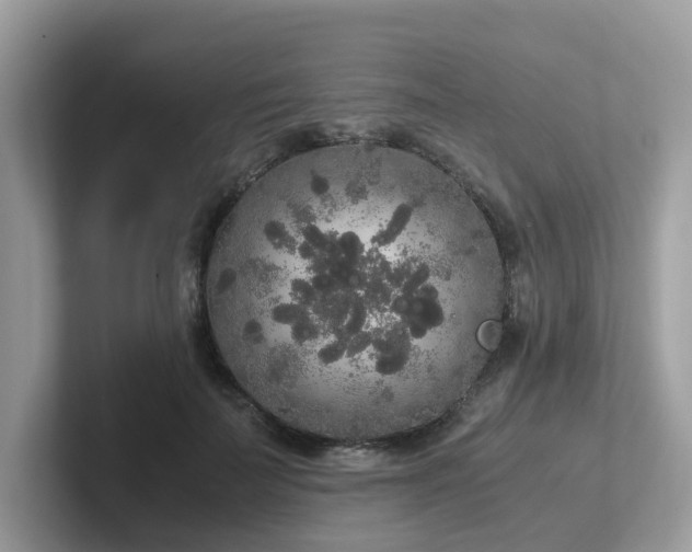 X0000102300699200807251435