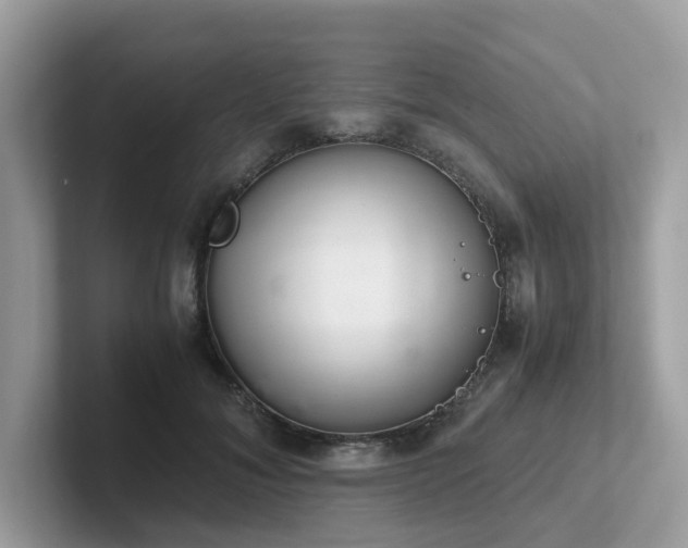 X0000102300700200807251435