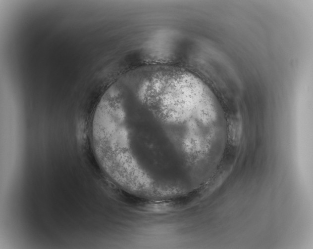 X0000102300701200807251435