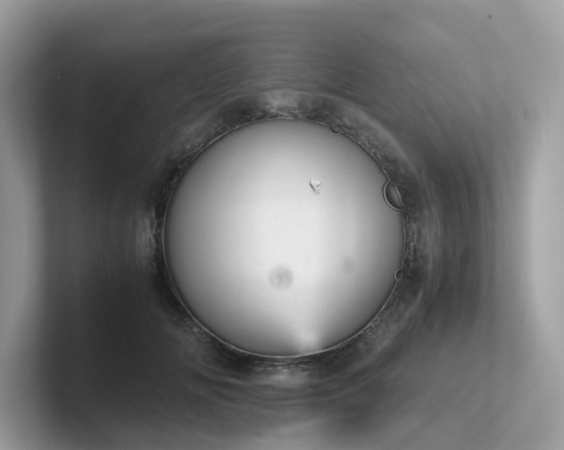 X0000102300702200807251435