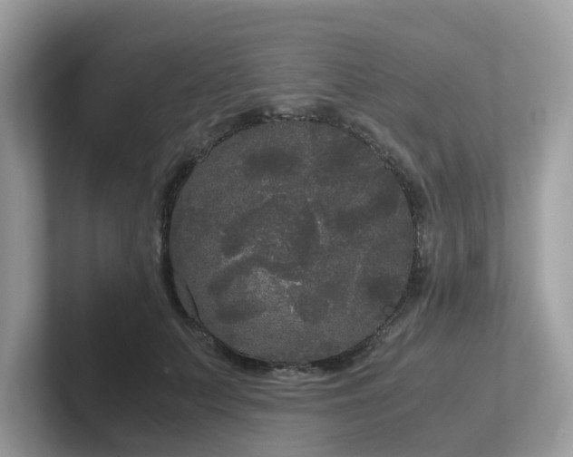 X0000102300703200807251435
