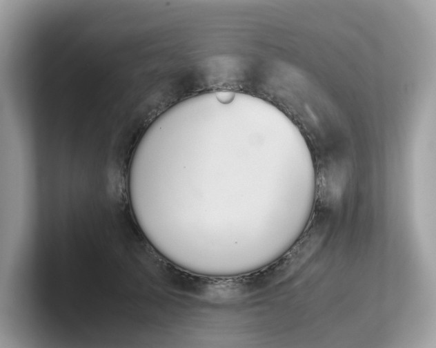 X0000102300705200807251435